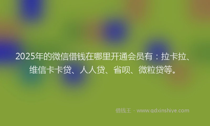 2025年的微信借钱在哪里开通会员有：拉卡拉、维信卡卡贷、人人贷、省呗、微粒贷等。