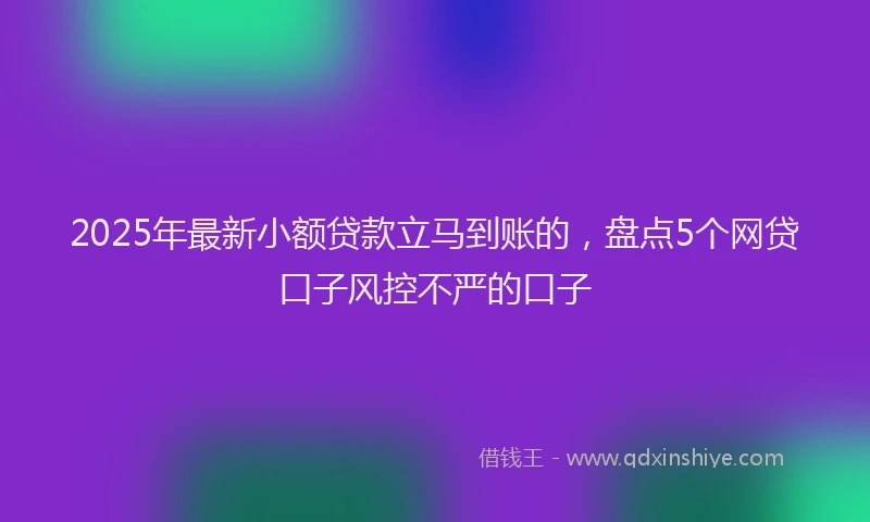 2025年最新小额贷款立马到账的，盘点5个网贷口子风控不严的口子