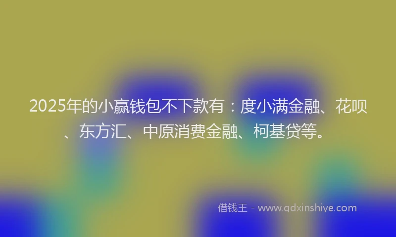 2025年的小赢钱包不下款有：度小满金融、花呗、东方汇、中原消费金融、柯基贷等。