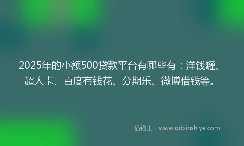 2025年的小额500贷款平台有哪些有：洋钱罐、超人卡、百度有钱花、分期乐、微博借钱等。
