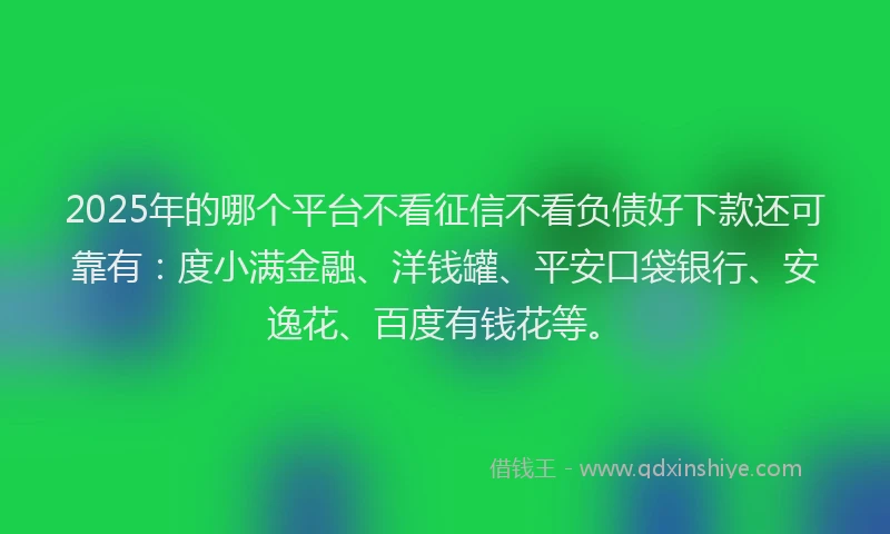 2025年的哪个平台不看征信不看负债好下款还可靠有：度小满金融、洋钱罐、平安口袋银行、安逸花、百度有钱花等。