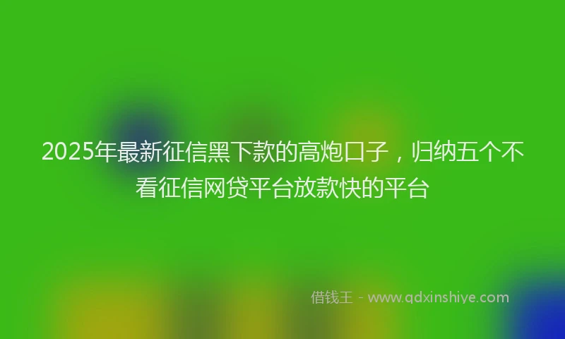 2025年最新征信黑下款的高炮口子，归纳五个不看征信网贷平台放款快的平台