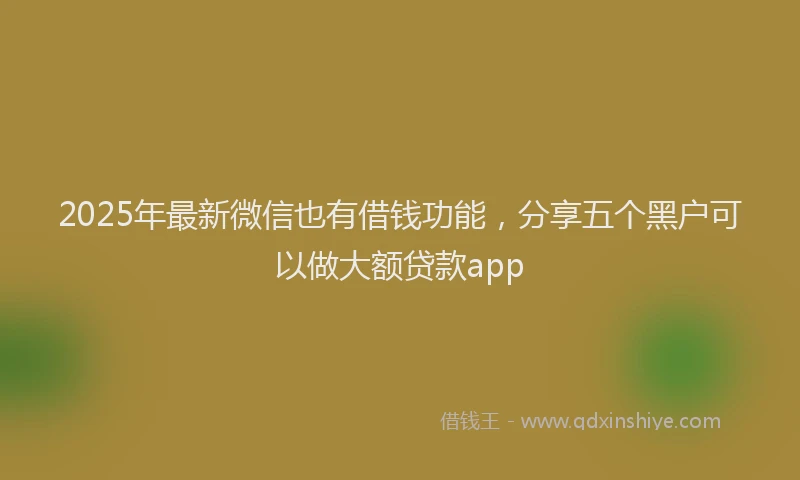 2025年最新微信也有借钱功能，分享五个黑户可以做大额贷款app