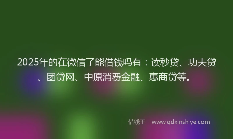 2025年的在微信了能借钱吗有：读秒贷、功夫贷、团贷网、中原消费金融、惠商贷等。