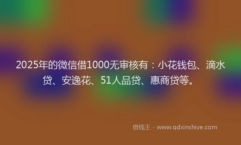 2025年的微信借1000无审核有：小花钱包、滴水贷、安逸花、51人品贷、惠商贷等。