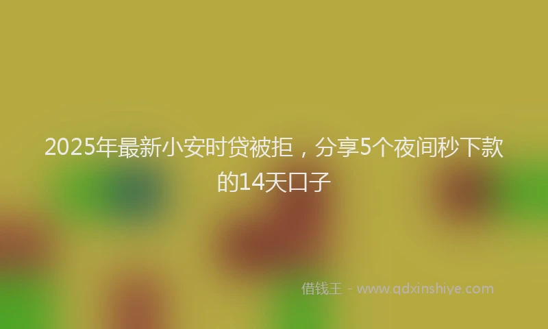 2025年最新小安时贷被拒，分享5个夜间秒下款的14天口子