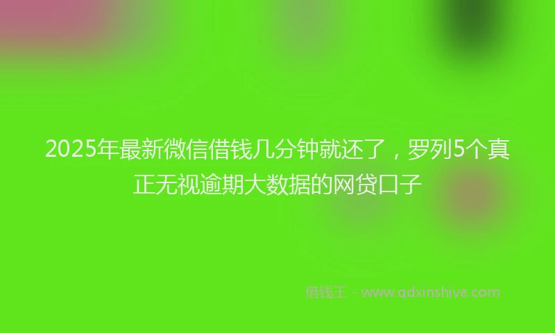2025年最新微信借钱几分钟就还了，罗列5个真正无视逾期大数据的网贷口子