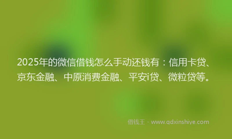 2025年的微信借钱怎么手动还钱有：信用卡贷、京东金融、中原消费金融、平安i贷、微粒贷等。