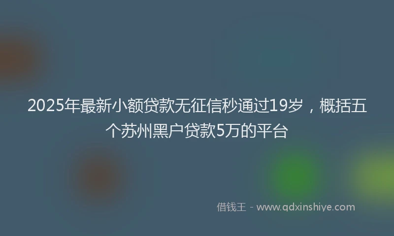 2025年最新小额贷款无征信秒通过19岁，概括五个苏州黑户贷款5万的平台