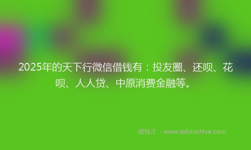 2025年的天下行微信借钱有：投友圈、还呗、花呗、人人贷、中原消费金融等。