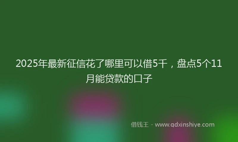 2025年最新征信花了哪里可以借5千，盘点5个11月能贷款的口子