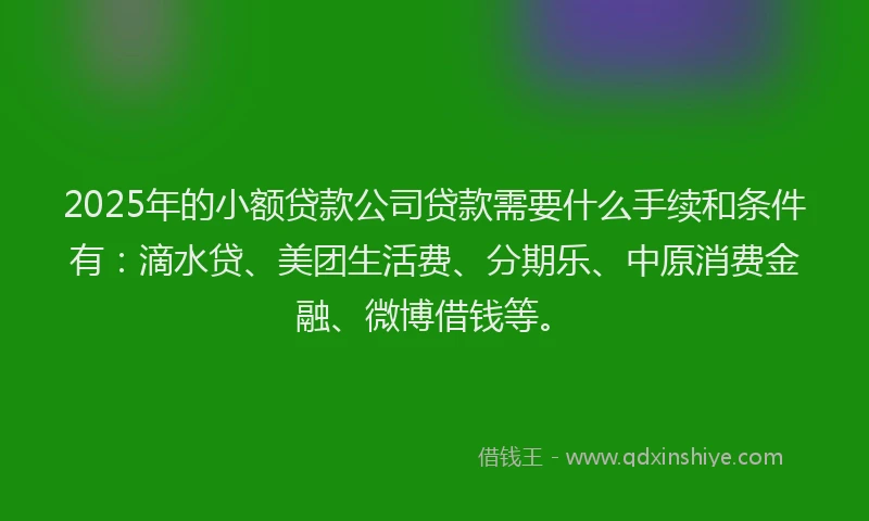 2025年的小额贷款公司贷款需要什么手续和条件有：滴水贷、美团生活费、分期乐、中原消费金融、微博借钱等。