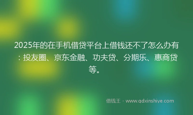 2025年的在手机借贷平台上借钱还不了怎么办有：投友圈、京东金融、功夫贷、分期乐、惠商贷等。