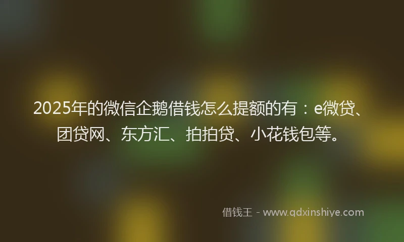 2025年的微信企鹅借钱怎么提额的有：e微贷、团贷网、东方汇、拍拍贷、小花钱包等。