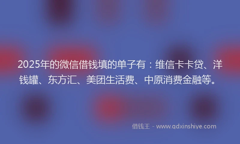 2025年的微信借钱填的单子有：维信卡卡贷、洋钱罐、东方汇、美团生活费、中原消费金融等。