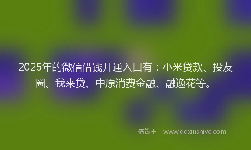 2025年的微信借钱开通入口有：小米贷款、投友圈、我来贷、中原消费金融、融逸花等。