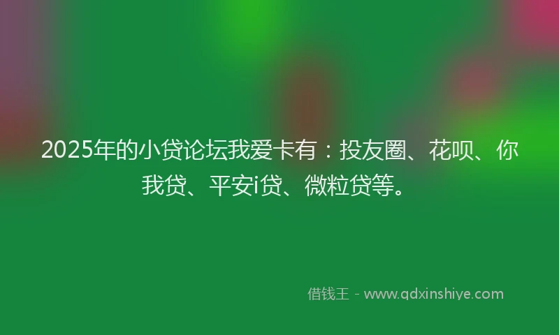 2025年的小贷论坛我爱卡有：投友圈、花呗、你我贷、平安i贷、微粒贷等。