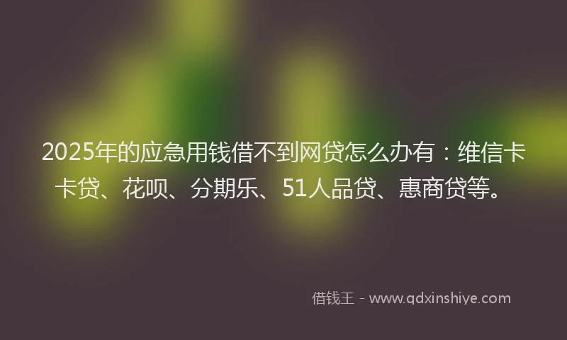 2025年的应急用钱借不到网贷怎么办有：维信卡卡贷、花呗、分期乐、51人品贷、惠商贷等。