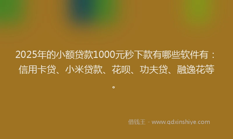 2025年的小额贷款1000元秒下款有哪些软件有：信用卡贷、小米贷款、花呗、功夫贷、融逸花等。