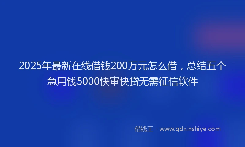 2025年最新在线借钱200万元怎么借，总结五个急用钱5000快审快贷无需征信软件