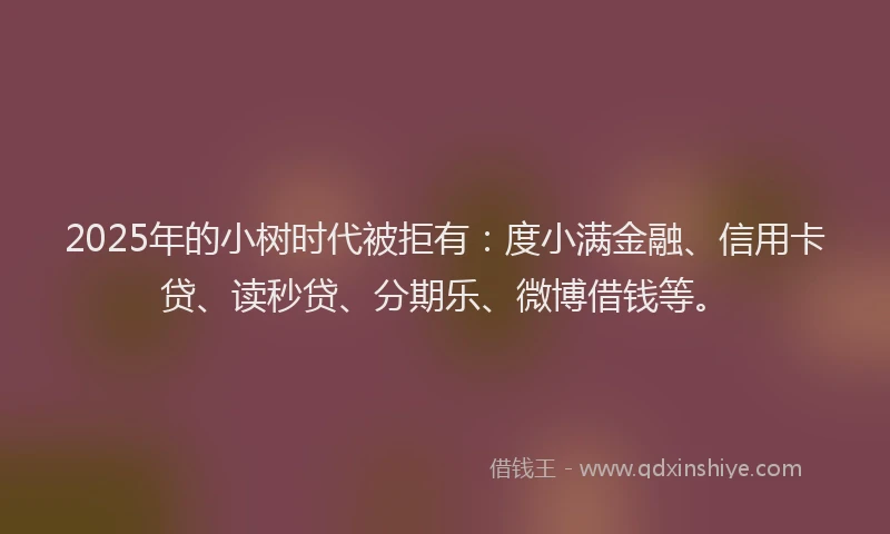 2025年的小树时代被拒有：度小满金融、信用卡贷、读秒贷、分期乐、微博借钱等。