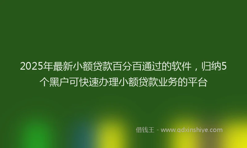 2025年最新小额贷款百分百通过的软件，归纳5个黑户可快速办理小额贷款业务的平台