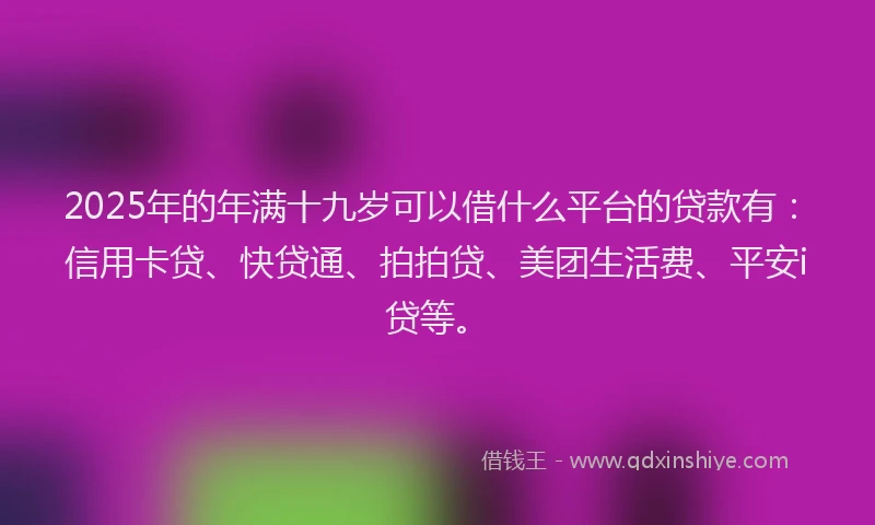 2025年的年满十九岁可以借什么平台的贷款有：信用卡贷、快贷通、拍拍贷、美团生活费、平安i贷等。