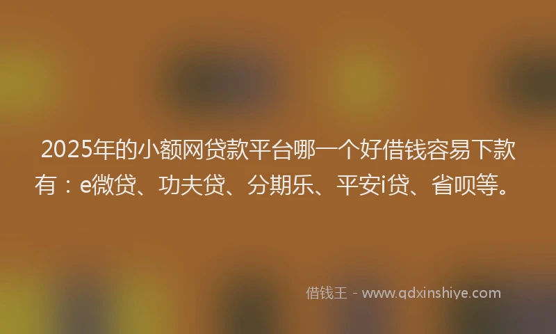 2025年的小额网贷款平台哪一个好借钱容易下款有：e微贷、功夫贷、分期乐、平安i贷、省呗等。