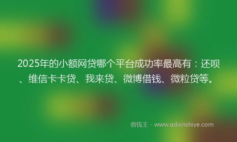 2025年的小额网贷哪个平台成功率最高有：还呗、维信卡卡贷、我来贷、微博借钱、微粒贷等。