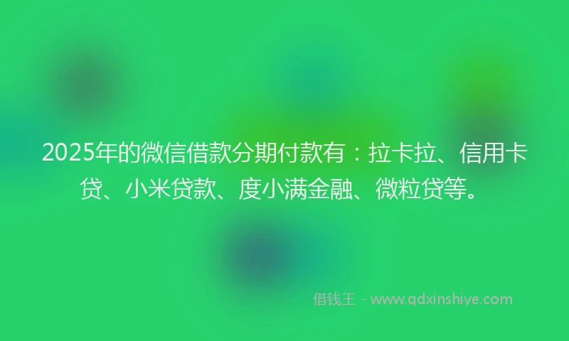 2025年的微信借款分期付款有：拉卡拉、信用卡贷、小米贷款、度小满金融、微粒贷等。