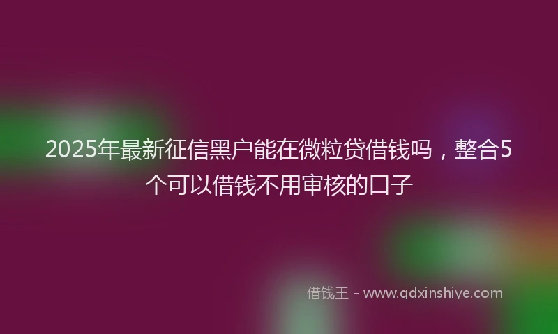 2025年最新征信黑户能在微粒贷借钱吗，整合5个可以借钱不用审核的口子