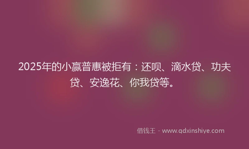 2025年的小赢普惠被拒有：还呗、滴水贷、功夫贷、安逸花、你我贷等。