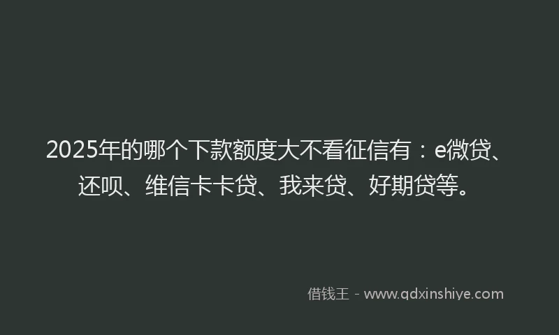 2025年的哪个下款额度大不看征信有：e微贷、还呗、维信卡卡贷、我来贷、好期贷等。
