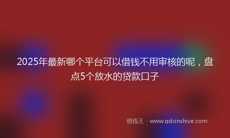 2025年最新哪个平台可以借钱不用审核的呢，盘点5个放水的贷款口子