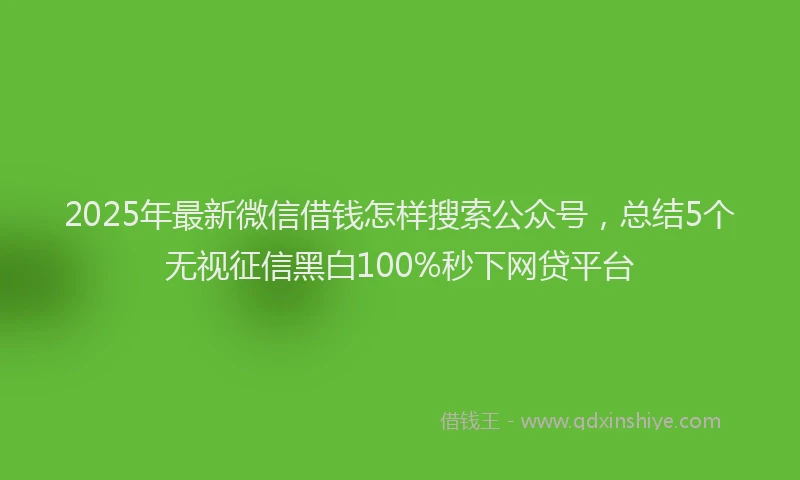 2025年最新微信借钱怎样搜索公众号，总结5个无视征信黑白100%秒下网贷平台