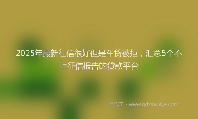 2025年最新征信很好但是车贷被拒，汇总5个不上征信报告的贷款平台