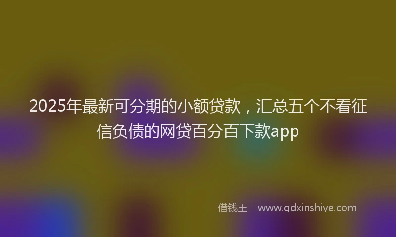 2025年最新可分期的小额贷款，汇总五个不看征信负债的网贷百分百下款app