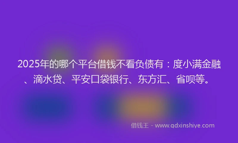 2025年的哪个平台借钱不看负债有：度小满金融、滴水贷、平安口袋银行、东方汇、省呗等。