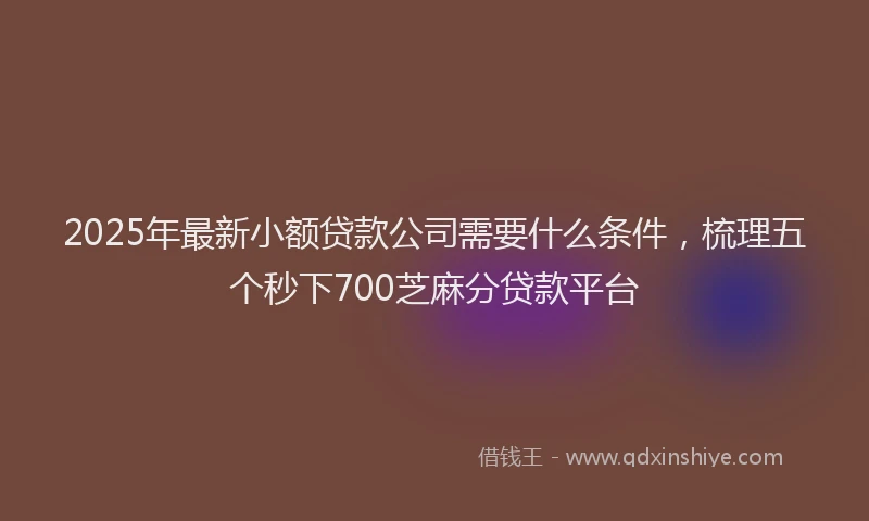 2025年最新小额贷款公司需要什么条件，梳理五个秒下700芝麻分贷款平台