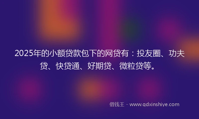 2025年的小额贷款包下的网贷有：投友圈、功夫贷、快贷通、好期贷、微粒贷等。