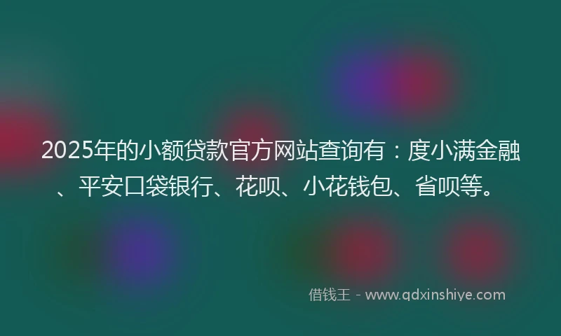 2025年的小额贷款官方网站查询有：度小满金融、平安口袋银行、花呗、小花钱包、省呗等。