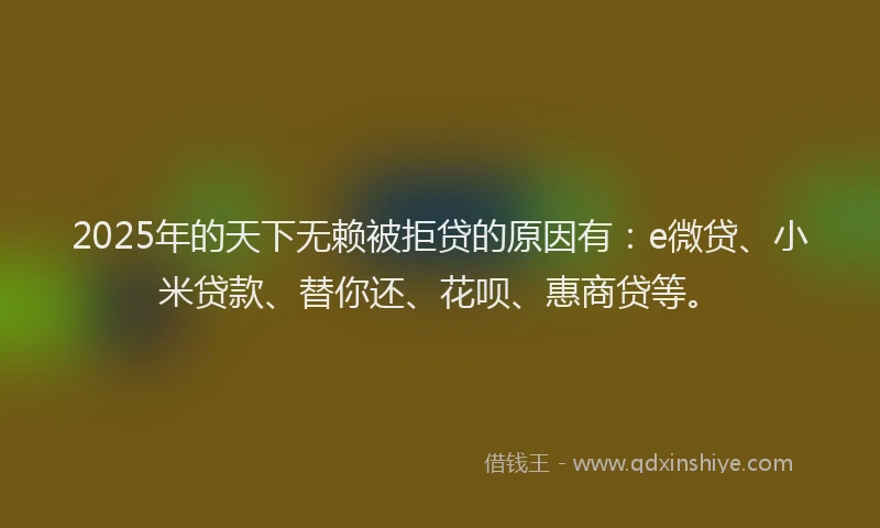 2025年的天下无赖被拒贷的原因有：e微贷、小米贷款、替你还、花呗、惠商贷等。