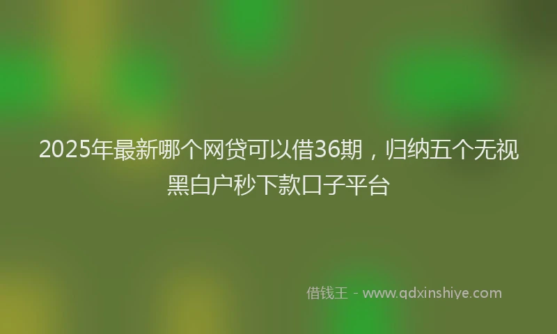 2025年最新哪个网贷可以借36期，归纳五个无视黑白户秒下款口子平台