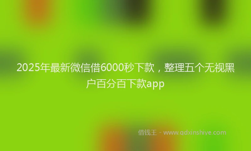 2025年最新微信借6000秒下款，整理五个无视黑户百分百下款app