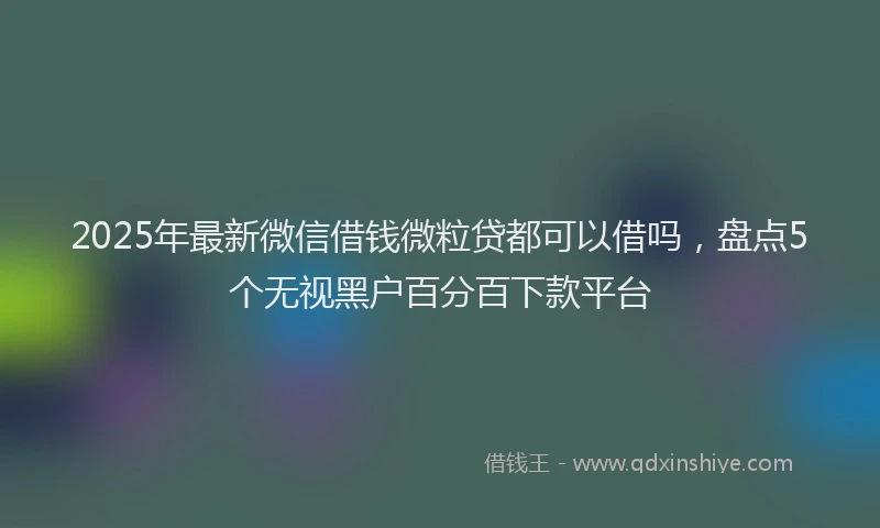 2025年最新微信借钱微粒贷都可以借吗，盘点5个无视黑户百分百下款平台