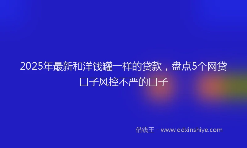 2025年最新和洋钱罐一样的贷款，盘点5个网贷口子风控不严的口子
