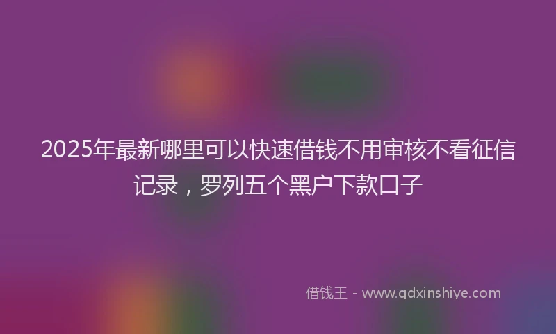2025年最新哪里可以快速借钱不用审核不看征信记录，罗列五个黑户下款口子
