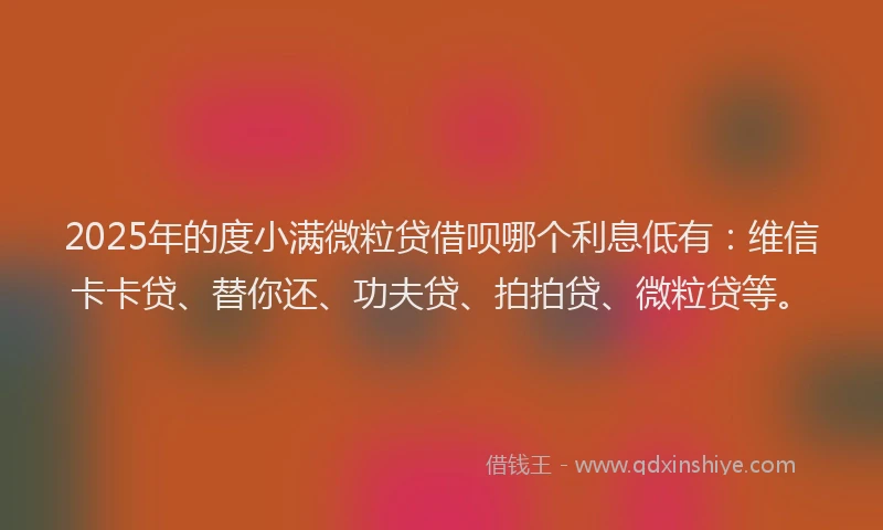 2025年的度小满微粒贷借呗哪个利息低有：维信卡卡贷、替你还、功夫贷、拍拍贷、微粒贷等。