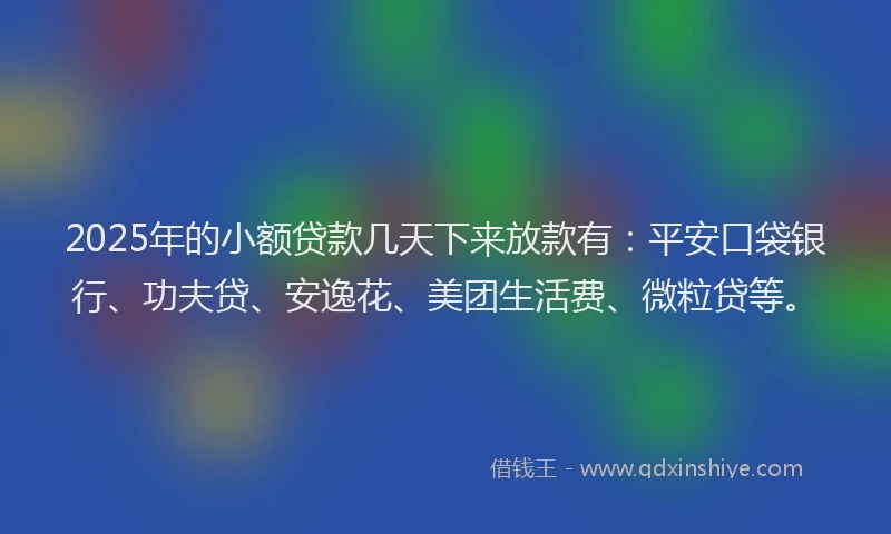 2025年的小额贷款几天下来放款有：平安口袋银行、功夫贷、安逸花、美团生活费、微粒贷等。