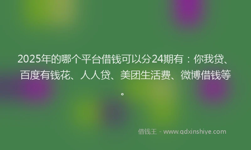 2025年的哪个平台借钱可以分24期有：你我贷、百度有钱花、人人贷、美团生活费、微博借钱等。